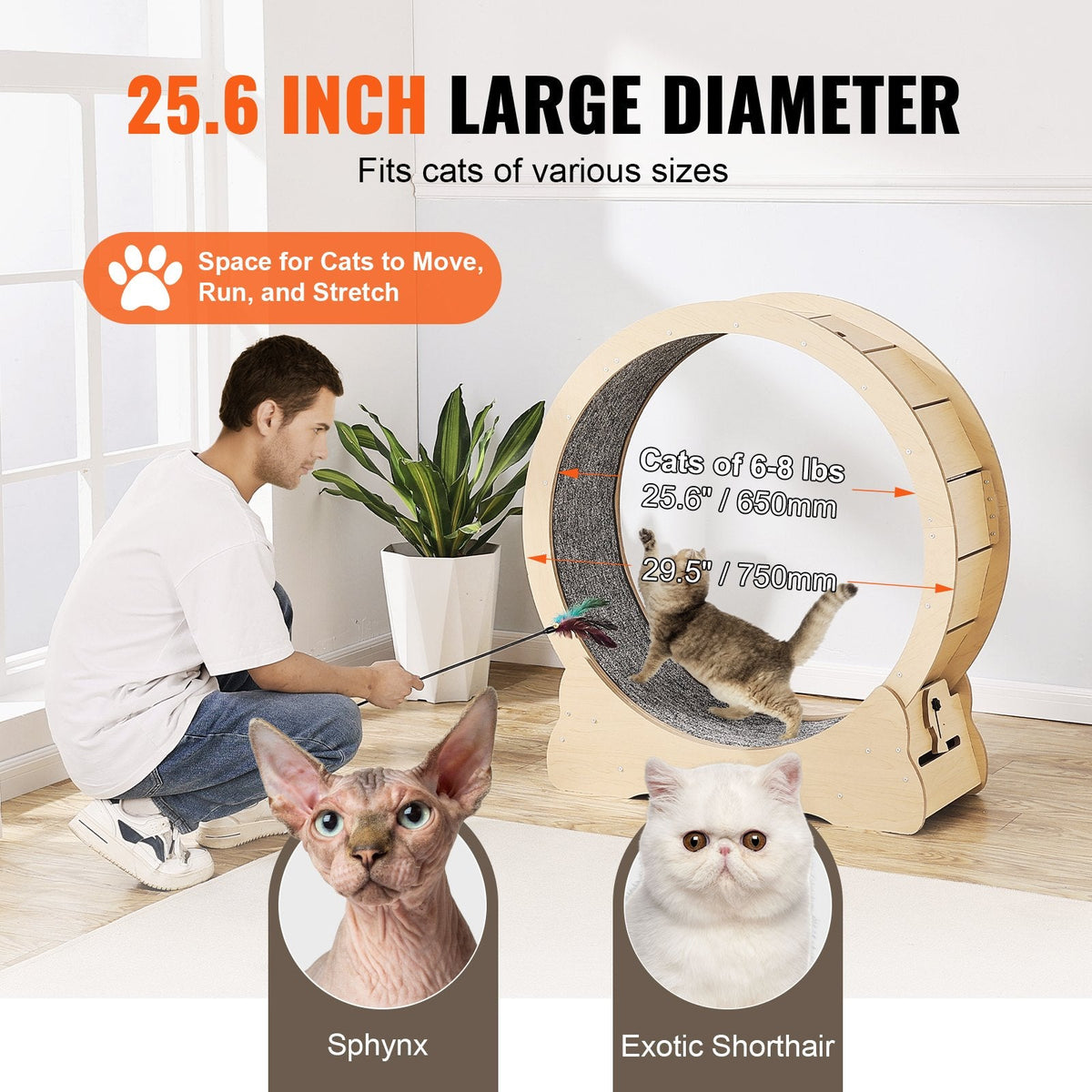 VEVOR Cat Exercise Wheel, Large Cat Treadmill Wheel for Indoor Cats,